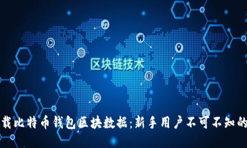 如何轻松下载比特币钱包区块数据：新手用户不可不知的技巧与推荐