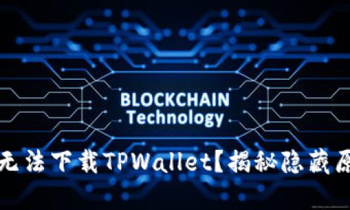 海外账号为何无法下载TPWallet？揭秘隐藏原因与解决方案