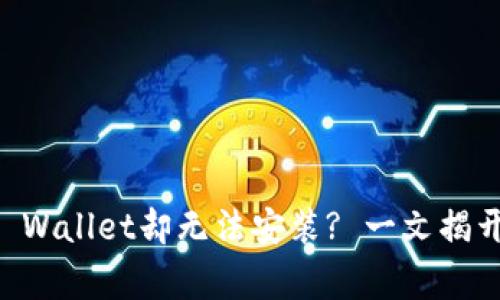 为什么下载了TP Wallet却无法安装? 一文揭开常见问题的真相