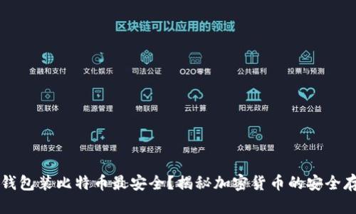 用什么钱包装比特币最安全？揭秘加密货币的安全存储策略