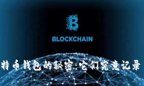 了解比特币钱包的秘密：它们究竟记录了什么？