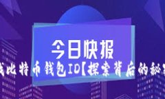 如何查找比特币钱包ID？探