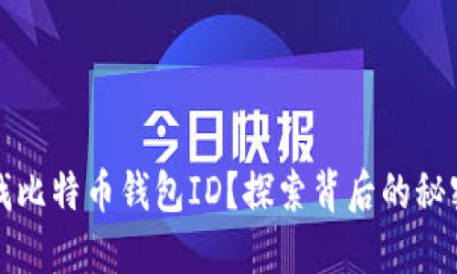 如何查找比特币钱包ID？探索背后的秘密与技巧