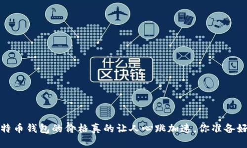 2023年比特币钱包的价格真的让人心跳加速，你准备好了解了吗？