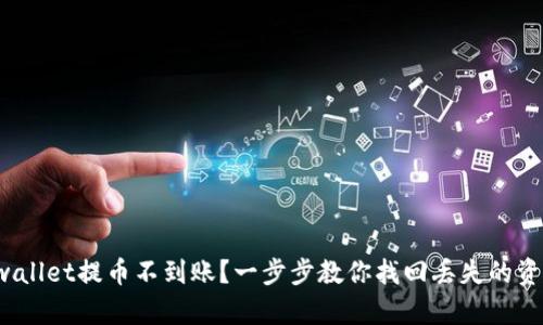 tpwallet提币不到账？一步步教你找回丢失的资金！