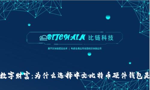 保护你的数字财富：为什么选择中文比特币硬件钱包是明智之举