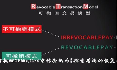 如何找回TPWallet中移除的币？探索有效的恢复方案