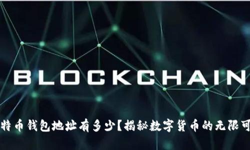 比特币钱包地址有多少？揭秘数字货币的无限可能