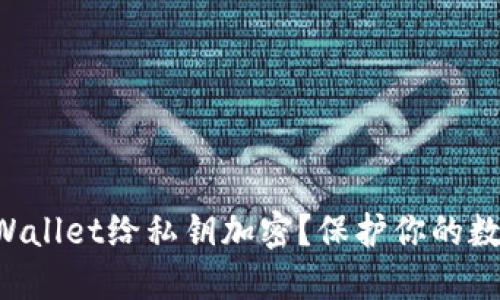 如何使用TPWallet给私钥加密？保护你的数字资产安全！