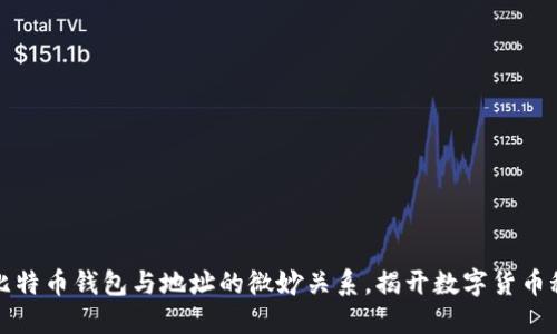 深入理解比特币钱包与地址的微妙关系，揭开数字货币秘密的面纱
