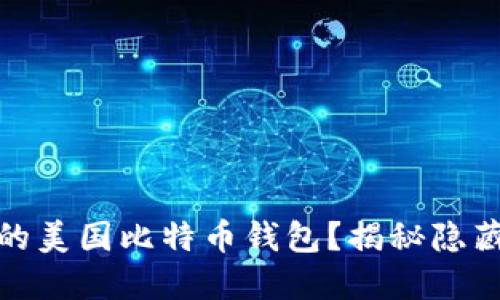 如何选择适合自己的美国比特币钱包？揭秘隐藏选择的技巧与建议