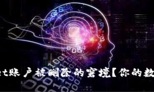 如何应对TPWallet账户被删除的窘境？你的数字资产还安全吗？