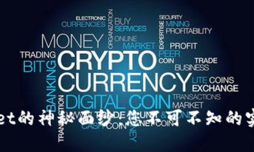 揭开TPWallet的神秘面纱：您不可不知的实用翻译功能