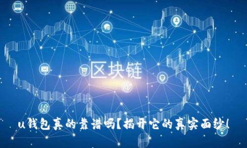 u钱包真的靠谱吗？揭开它的真实面纱！