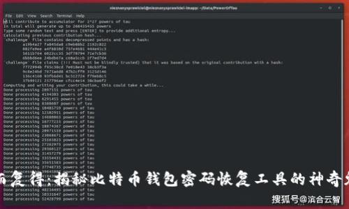 失而复得：揭秘比特币钱包密码恢复工具的神奇魅力