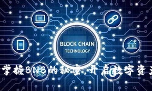 TPWallet：掌握BNB的秘密，开启数字资产的新篇章