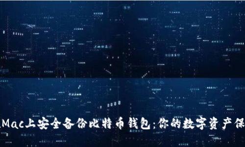 如何在Mac上安全备份比特币钱包：你的数字资产保护指南