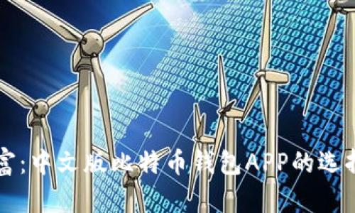 解锁数字财富：中文版比特币钱包APP的选择与使用指南