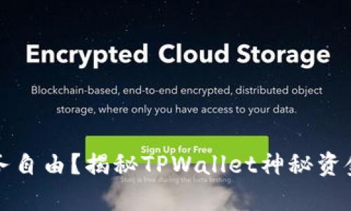 突然实现财务自由？揭秘TPWallet神秘资金来源的真相