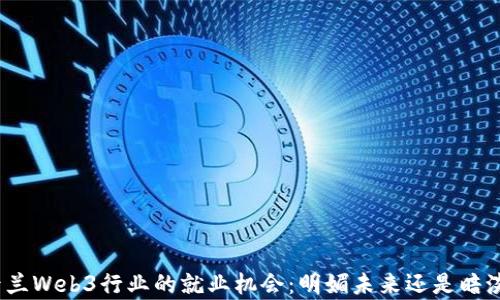 
探索荷兰Web3行业的就业机会：明媚未来还是暗淡前景？