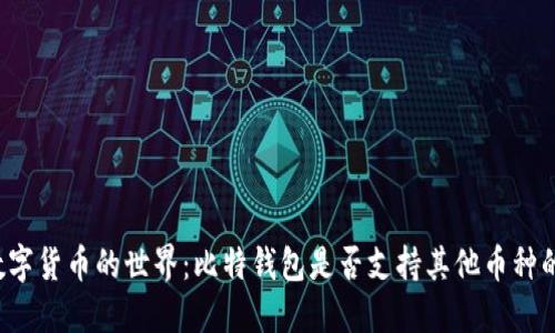解锁数字货币的世界：比特钱包是否支持其他币种的转账？