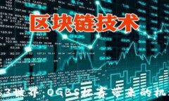 解密Web3世界：OGBS杯赛带来