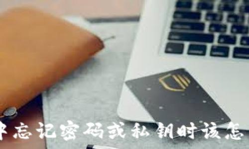   
当你在TP Wallet中忘记密码或私钥时该怎么办？紧急救援指南
