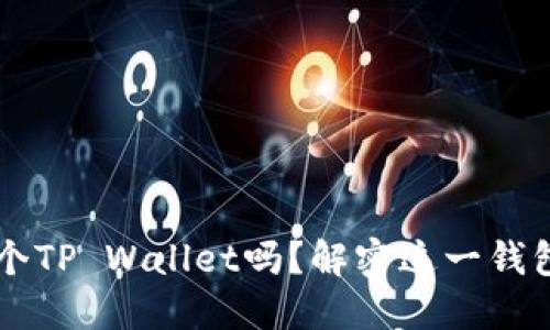 手机上可以安装多个TP Wallet吗？解密这一钱包的使用限制与优势