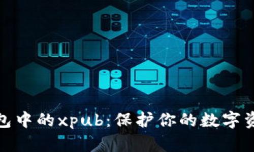 揭秘比特币钱包中的xpub：保护你的数字资产的秘密钥匙