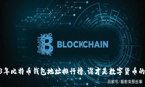 揭秘：2023年比特币钱包地址排行榜，谁才是数字货币的真正赢家？