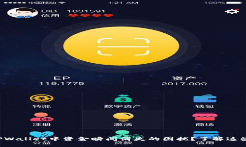 如何避免TPWallet中资金瞬间消失的困扰？了解这些保护措施！