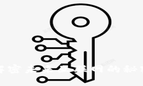 发现Web3：解密未来互联网的秘密与无限可能