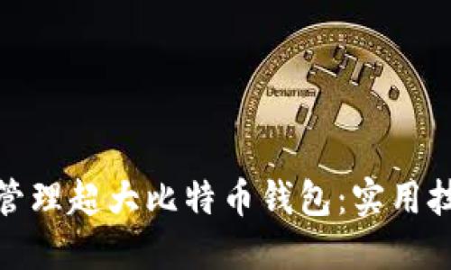 如何轻松管理超大比特币钱包：实用技巧与建议