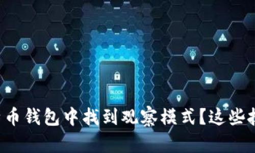 如何在比特币钱包中找到观察模式？这些技巧你必知！