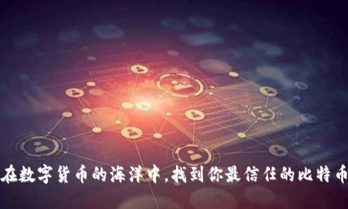 情感共鸣：在数字货币的海洋中，找到你最信任的比特币钱包平台！