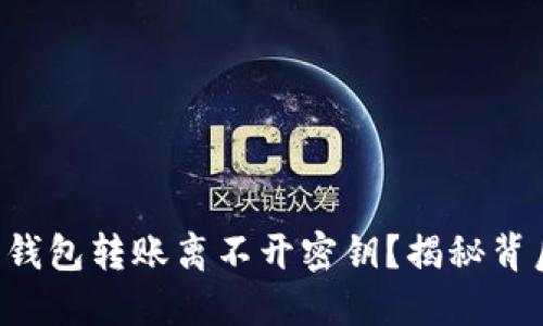 为什么比特币钱包转账离不开密钥？揭秘背后的安全秘密！