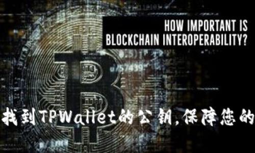 如何轻松找到TPWallet的公钥，保障您的资产安全