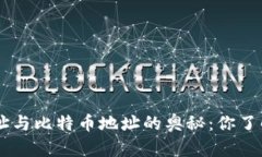 揭秘DCR钱包地址与比特币