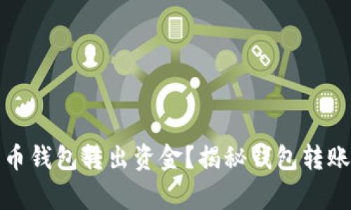 如何安全地从比特币钱包转出资金？揭秘钱包转账的细节与注意事项