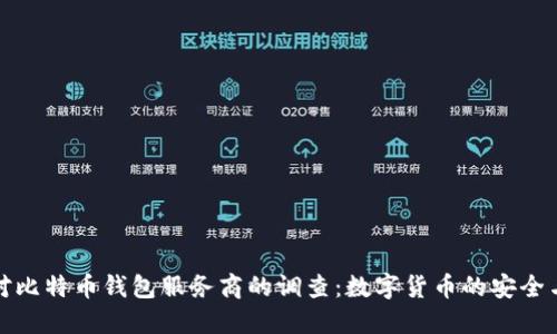 政府对比特币钱包服务商的调查：数字货币的安全与未来