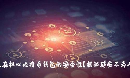 你是不是也在担心比特币钱包的安全性？揭秘那些不为人知的事情！