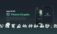 比特币钱包：公链背后的