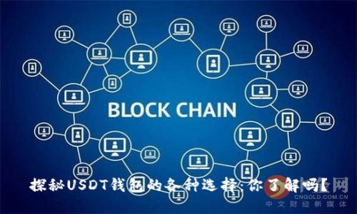 探秘USDT钱包的各种选择：你了解吗？