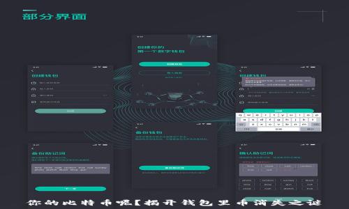   
你的比特币呢？揭开钱包里币消失之谜