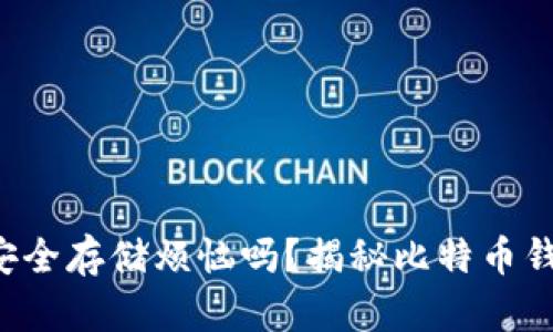 你还在为比特币的安全存储烦恼吗？揭秘比特币钱包的最佳存储位置！