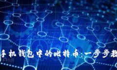 如何轻松恢复你的手机钱