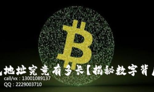 USDT钱包地址究竟有多长？揭秘数字背后的秘密！