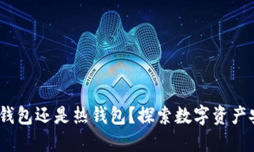 TP钱包：冷钱包还是热钱包？探索数字资产安全的秘密