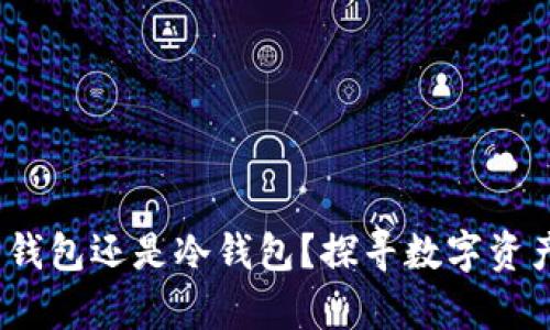 TPWallet：热钱包还是冷钱包？探寻数字资产安全的奥秘