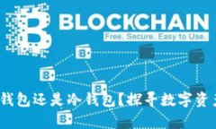 TPWallet：热钱包还是冷钱包